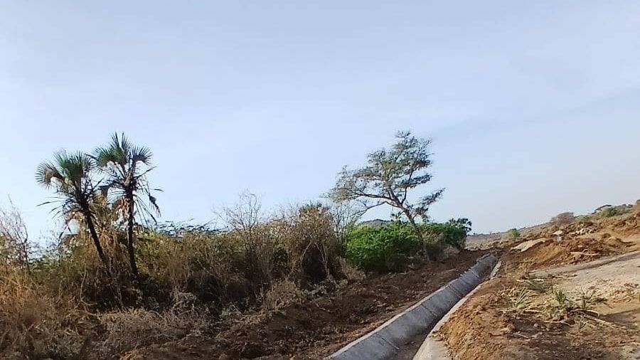 A trapezoidal concrete-lined canal at Napak in evening light, curving away between palms.