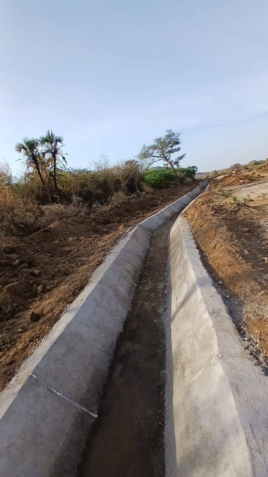 A trapezoidal concrete-lined canal at Napak in evening light, curving away between palms.